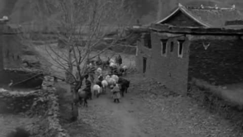HORSE PURCHASE, KING KWING CHAI, () TIBET - HORSE PURCHASE, KING KWING CHAI, () TIBET - 111-adc-4917