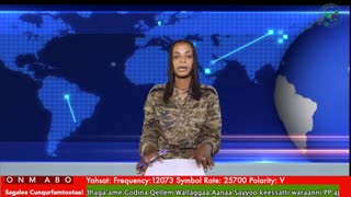 Oduu Ganama ONM-ABO Sadaasa 8-2025 itti dhiyaadhaa!