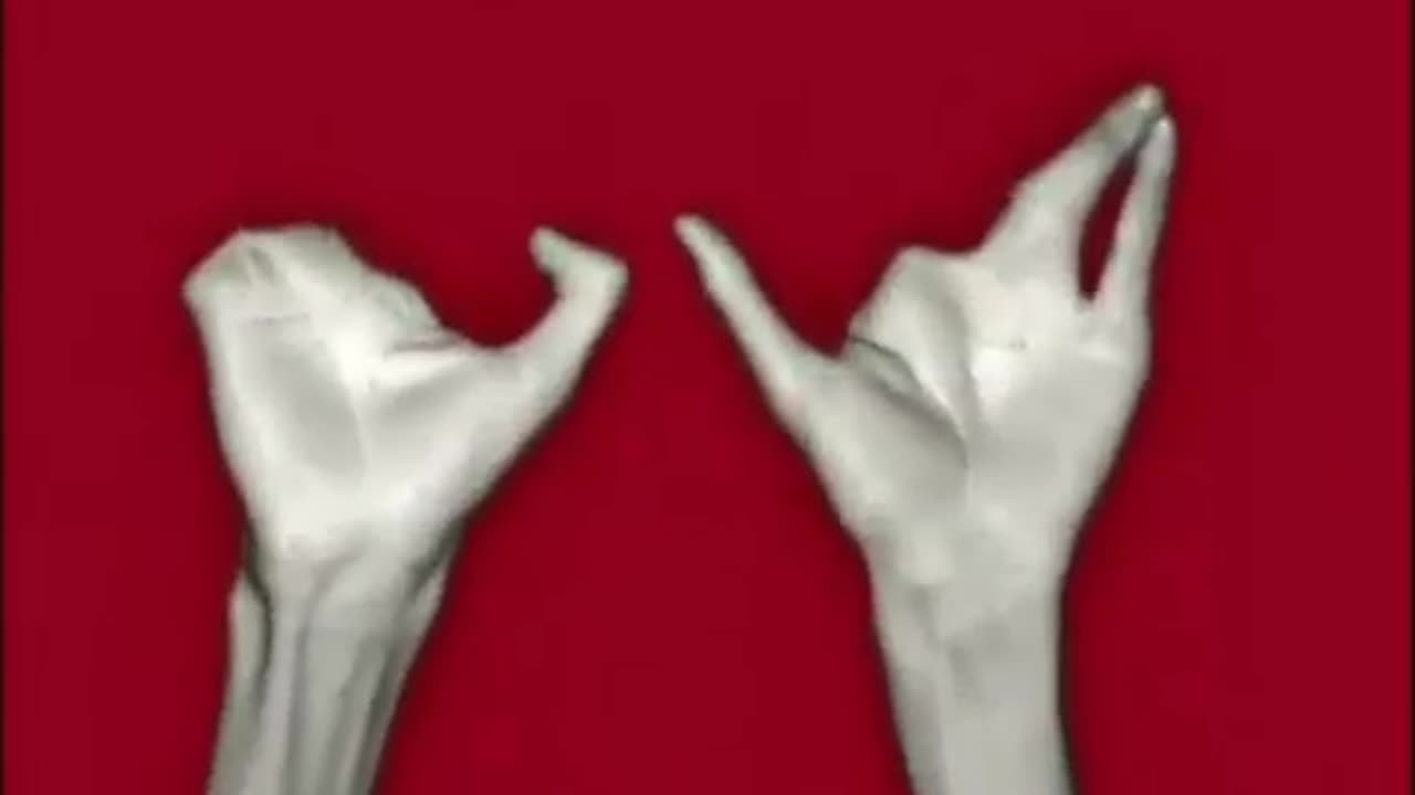 Cutting fingers countdown 🔟9️⃣8️⃣7️⃣6️⃣5️⃣4️⃣3️⃣2️⃣1️⃣0️⃣