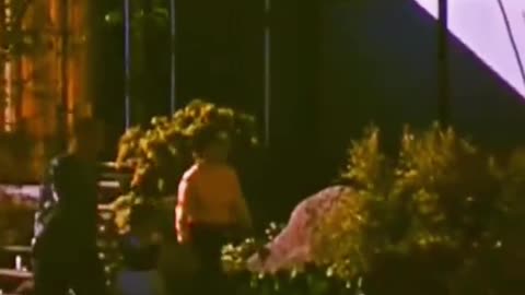 Seattle 1950s One Minute Truth