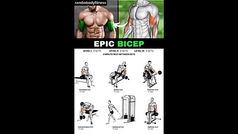 6 Biceps Exercises For Bigger Arms