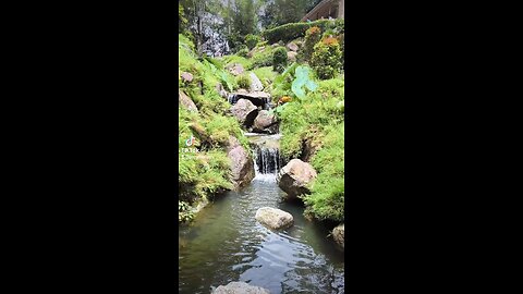 Japanese garden Malaysia Bukit Tinggi