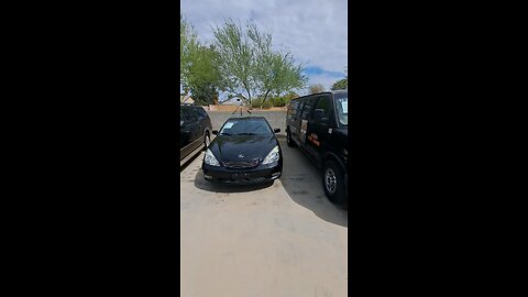 Phoenix Auto Auction