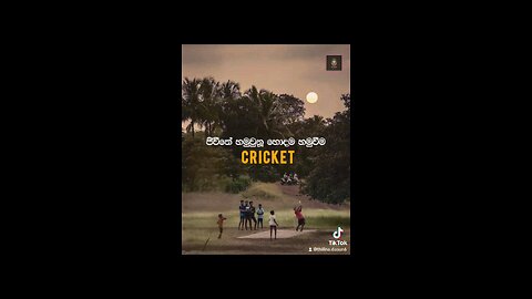 cricket our