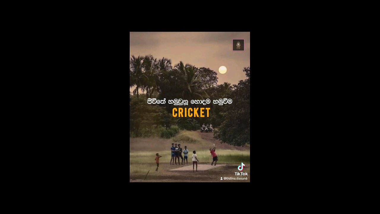cricket our