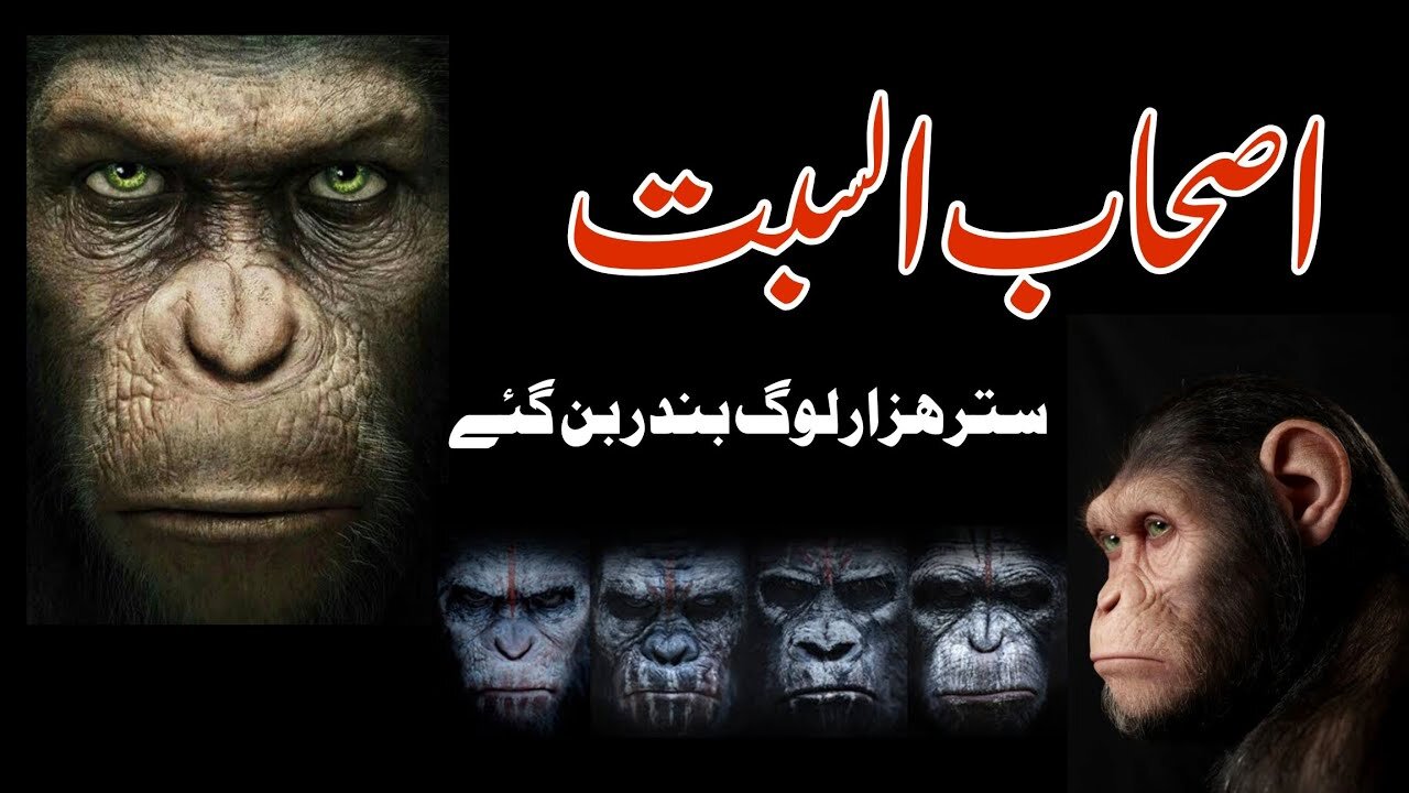 Ashab E Sabt (اصحاب السبت ) | The People Of Saturday | Islamic Stories #naqoosh_e_islam