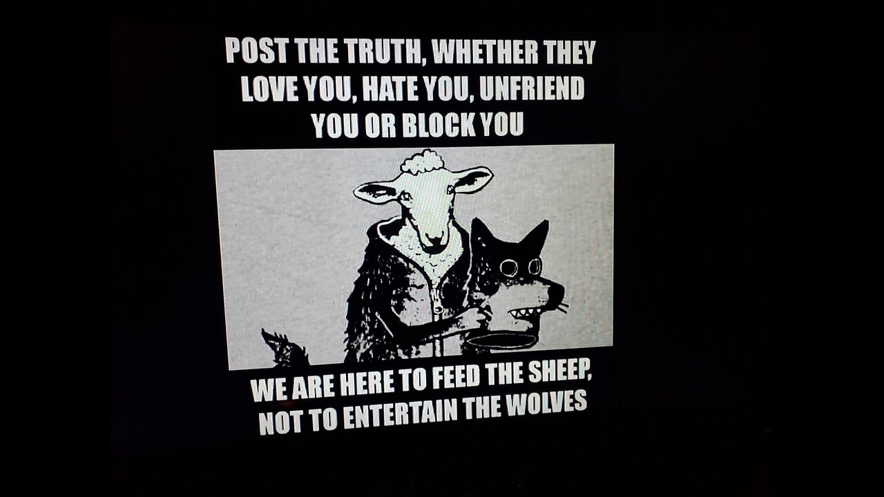 The HUMANITY 🤓🤣🐇🐸😇