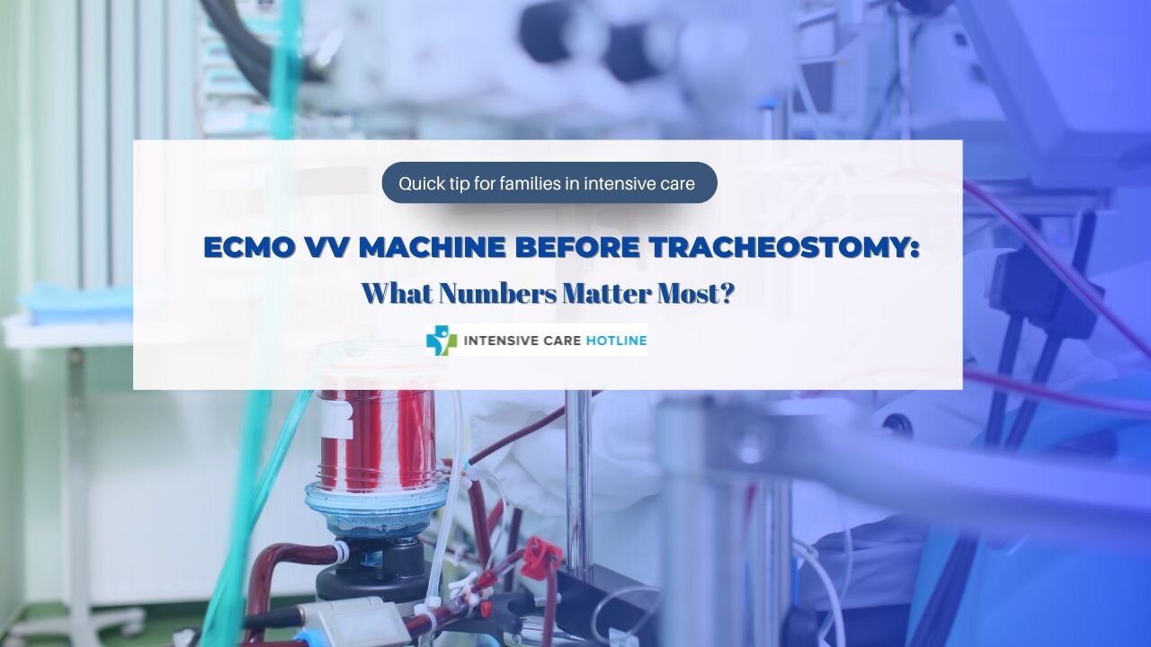 ECMO VV Machine Before Tracheostomy: What Numbers Matter Most?