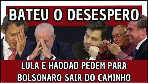 BATEU O DESESPERO - LULA E HADDAD PEDEM PARA BOLSONARO SAIR DO CAMINHO