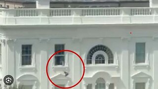 Trump Reveals Why Viral White House Video is Fake The Truth About Those 600-Pound Windows