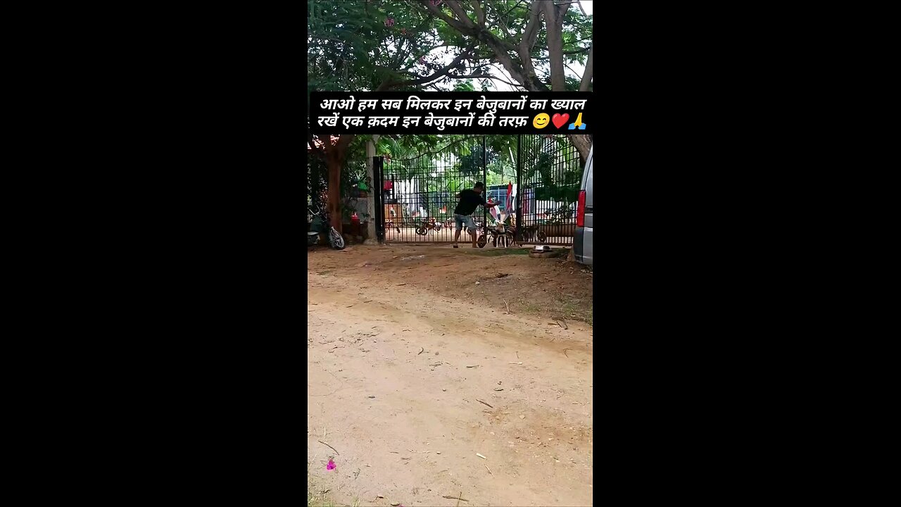 बेजुबान की आजादी