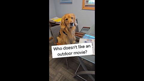 Who doesn't like an outdoor movie?