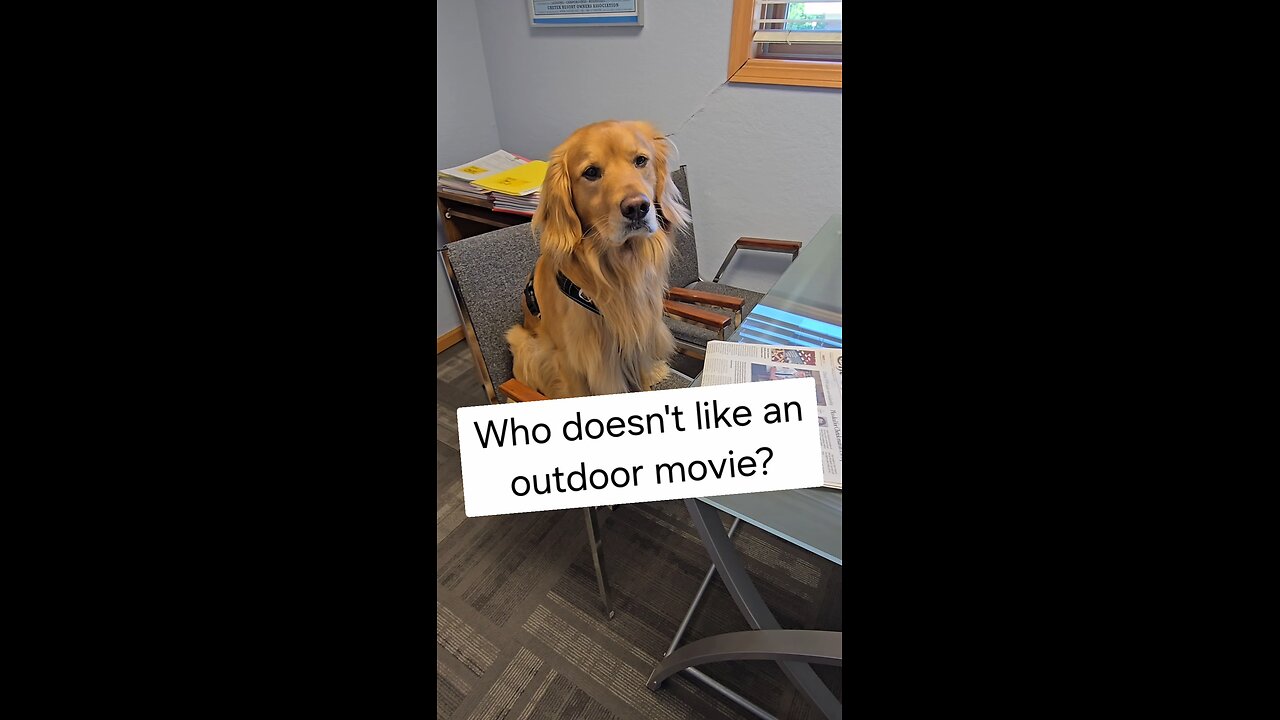 Who doesn't like an outdoor movie?