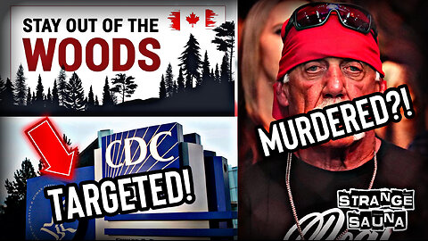 Stay Out of the Woods, CDC Targeted, and Hulk Murdered?