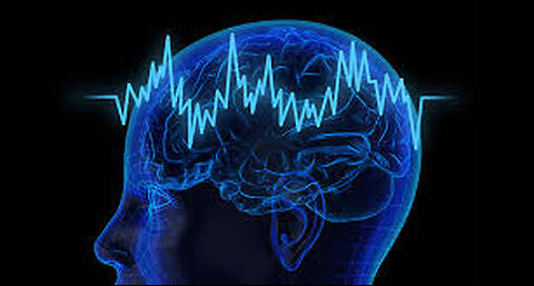 Your Brain has no Firewall by Alan Watt