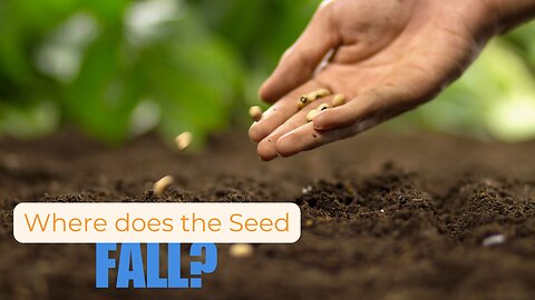 Where Does The Seed Fall? God's Word Explained!