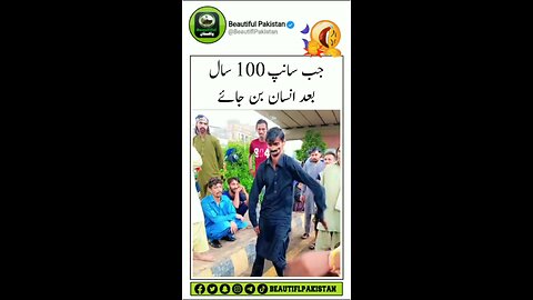 funny snake 🐍 dance