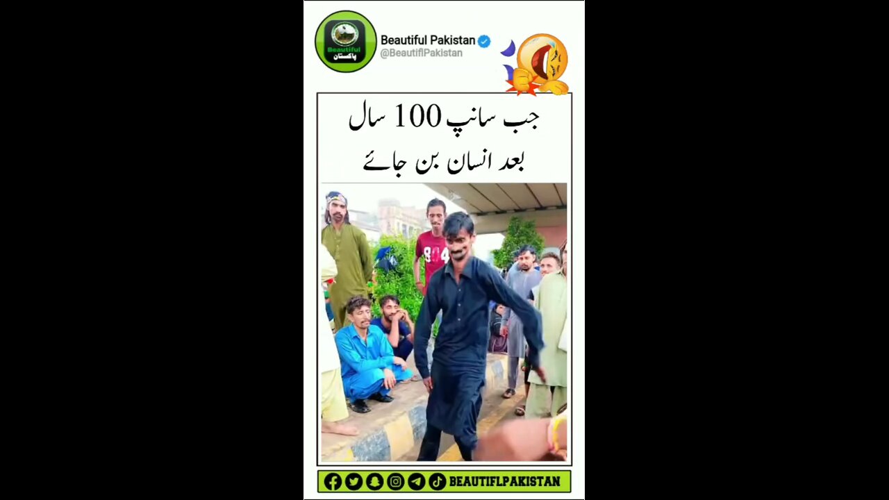 funny snake 🐍 dance