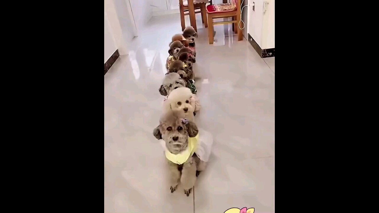 मॉडलिंग