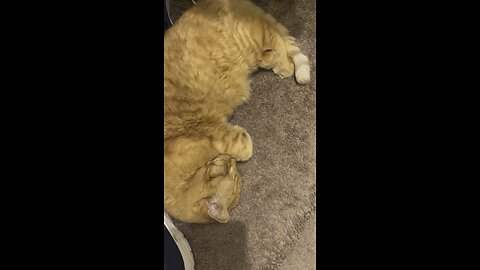 Sleeping.