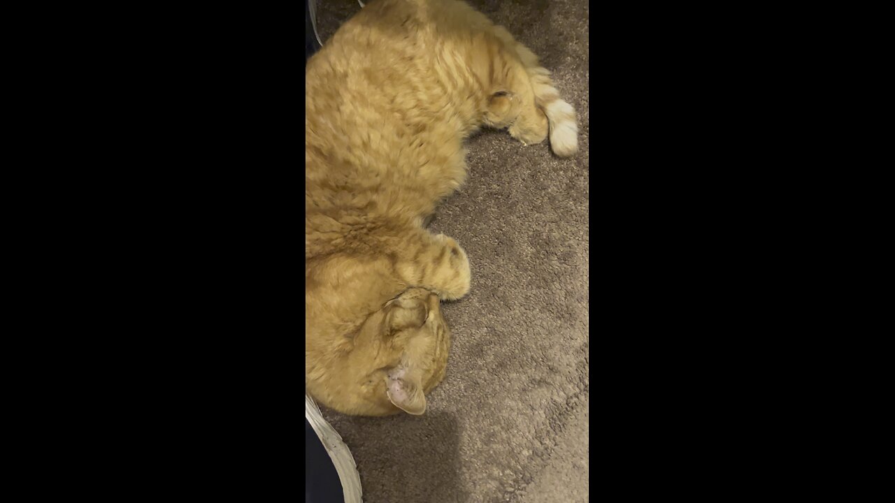 Sleeping.
