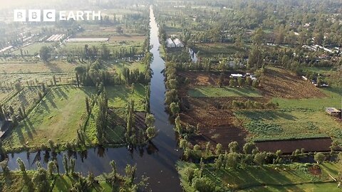 Mexico's 1,000-Year-Old Floating Farms | BBC Earth Explore