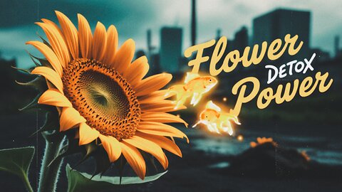Nectar & Healing Flowers: Nature’s Sweetest Medicine | The Wild Essence
