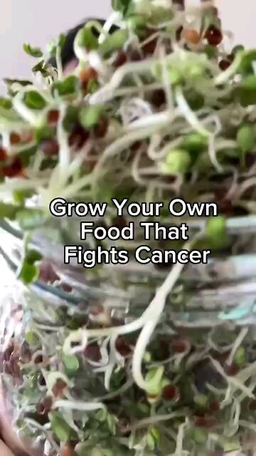 Growing Your Own Cancer Fighting Food