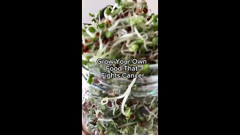 Growing Your Own Cancer Fighting Food