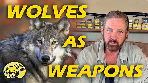 Wolves as weapons: How the feds used wildlife to kill our rights