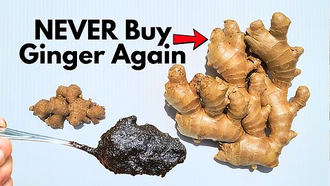 5 Deadly Mistakes That Kill Your Ginger Plant #3 Will Surprise You!