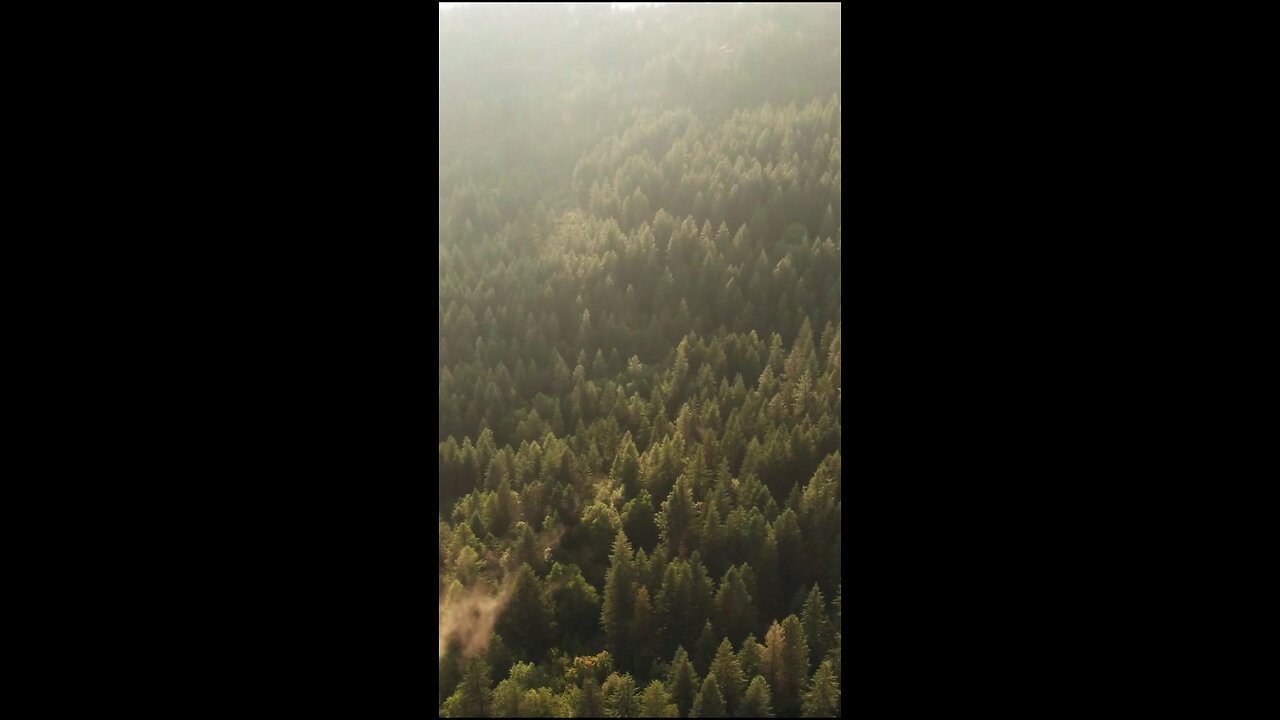 Daily Verse March 31st 2025