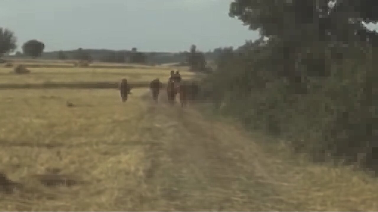 А бре воденичарче | A bre vodenicare | Александар Сариевски | Васка Илиева | Македонски Песни | Makedonski Pesni | Macedonian Songs | Macedonia | Македонија