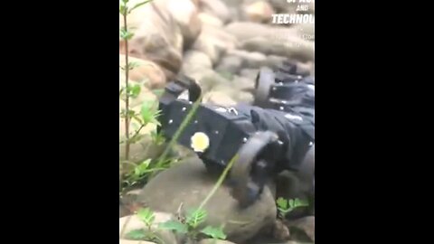 8 Inspired by the centipede,