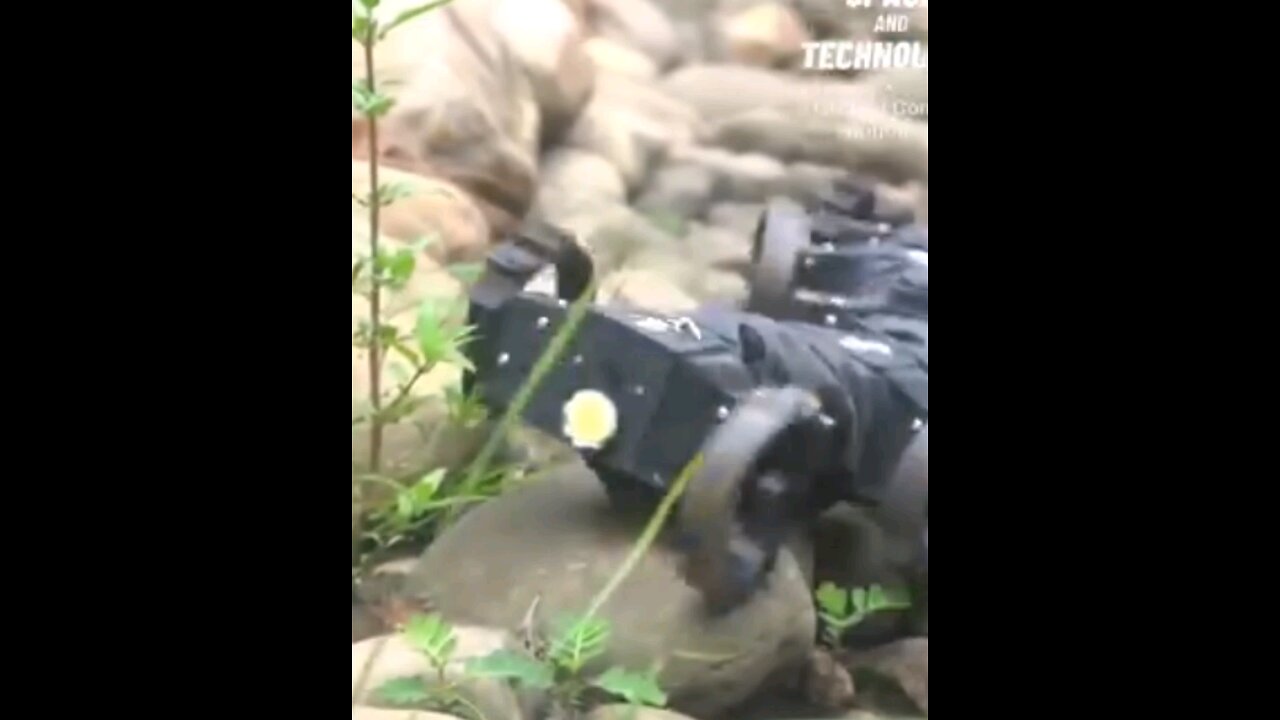 8 Inspired by the centipede,
