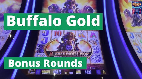 Buffalo Gold Collection Bonuses 🎰🦌🎰
