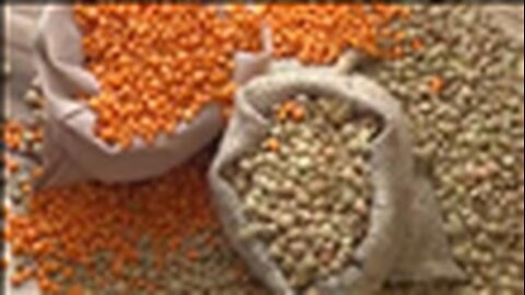 "11 Superfoods That Can Help Fight Cancer - Insights from Barbara O'Neil"