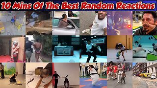 10 Mins Of The Best Random Reactions - Week 1