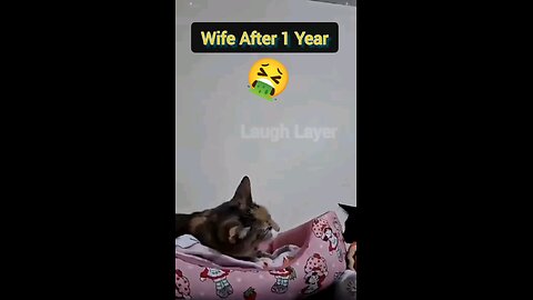 After 1 Year wife , funny video !😄