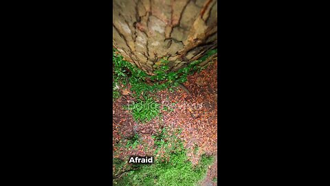 Afraid to take the first step? Shot on Dji osmo action 5 pro