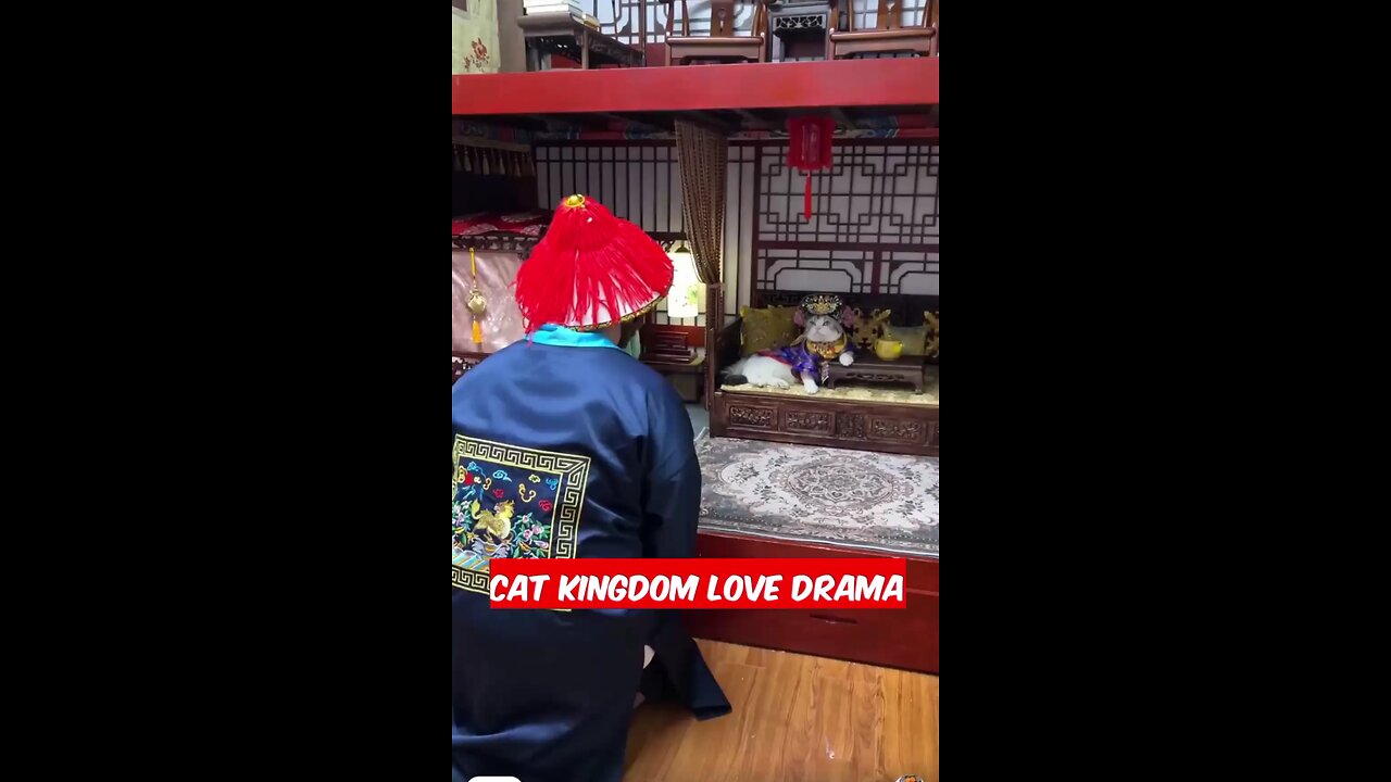 love story of cat princess in cat kingdom