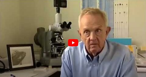 "Channel 4's Best Documentary: The Origin of HIV Aids"