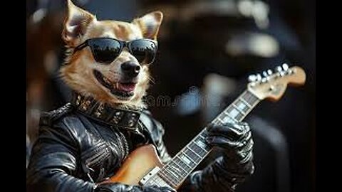 Dog Rockstars