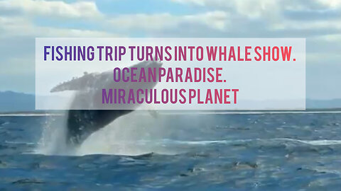 Fishing Trip Turns into Whale Show. Ocean paradise. Miraculous Planet