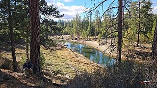 WordHike 121, 2 Ki 5-8, Rom 11