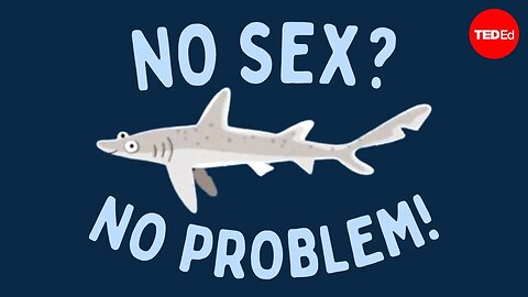 How does this all-female species reproduce? - Susana Freitas and Darren Parker