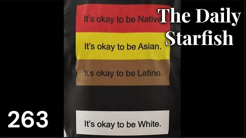 The Daily Starfish #263