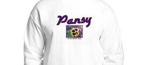 Sick of the PANSY MEN