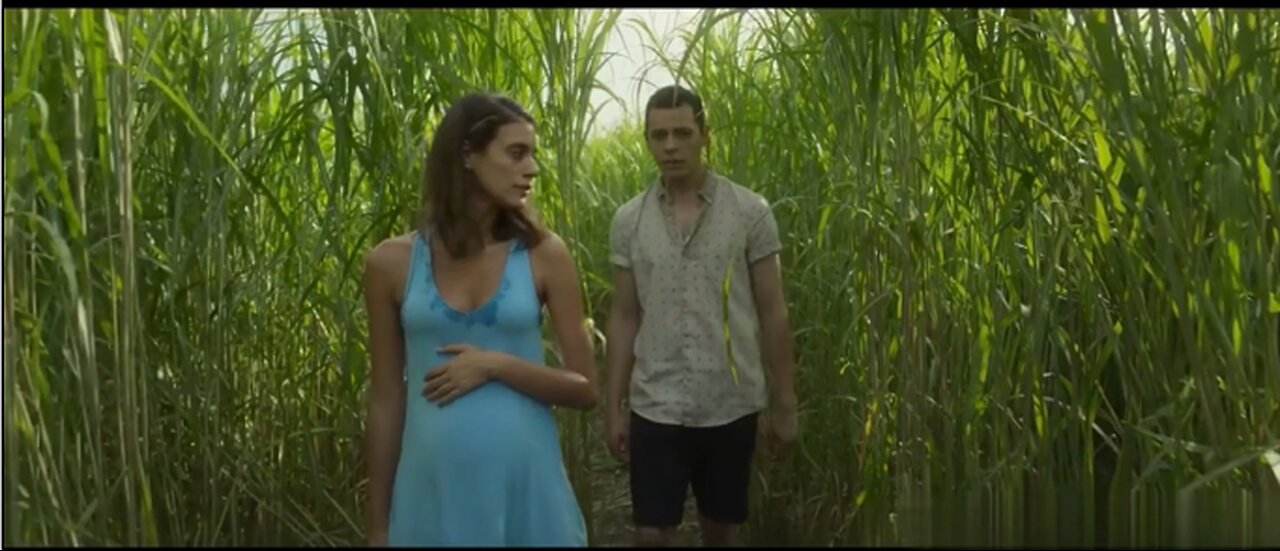 Strange Events Happen To Brother & Sister When They Enter Tall Grass To Help Boy-Behzad Movie Recap