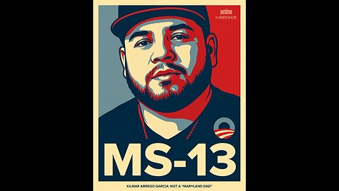 If You Like Crime, Your A Democrat
